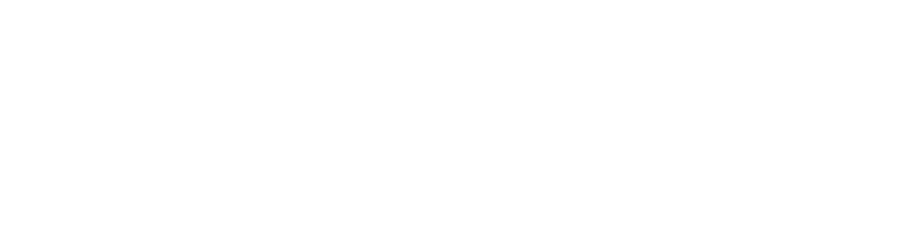 Flexity Logo